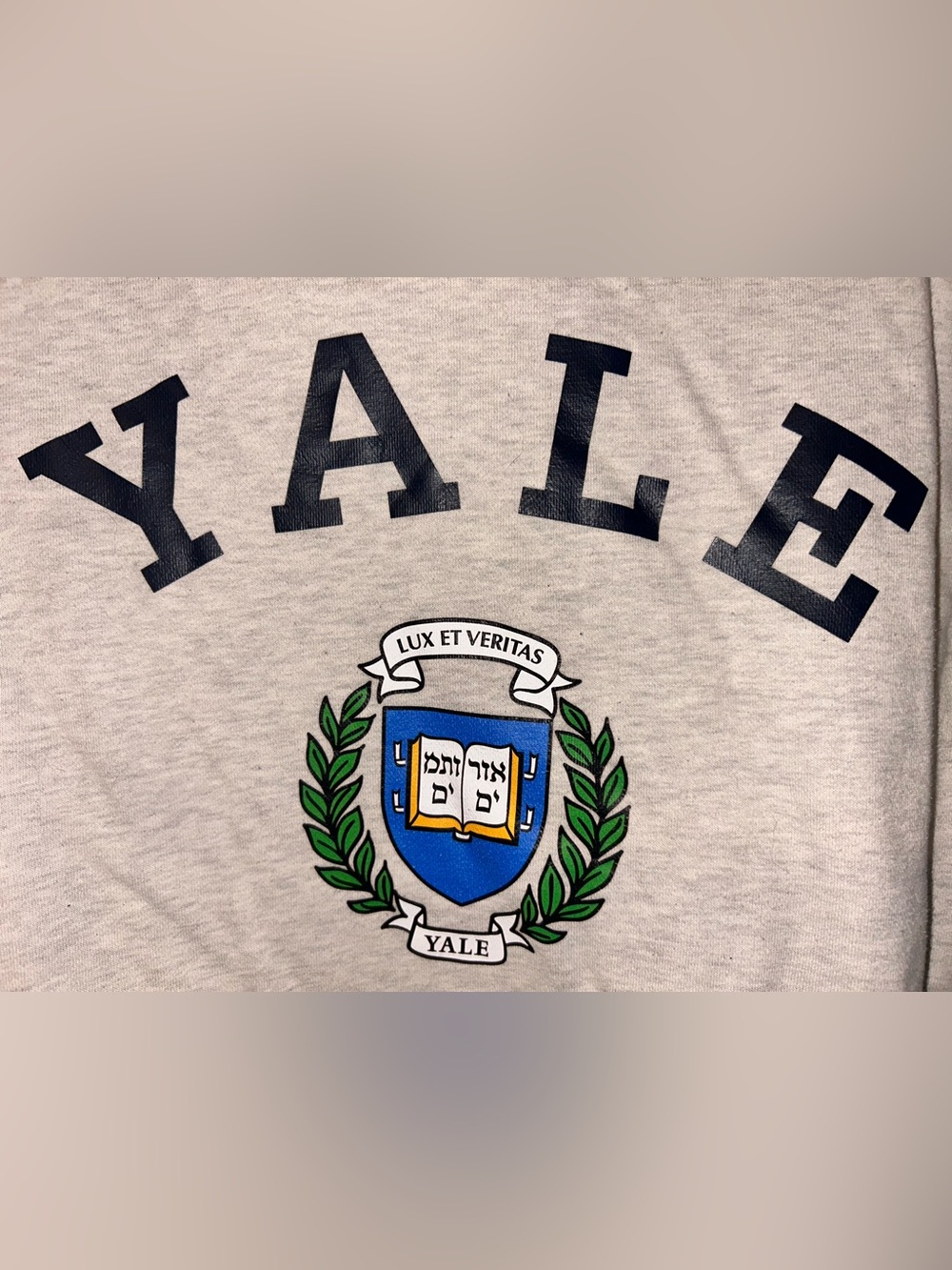 Crewneck Sweatshirt with Crest - Light Gray